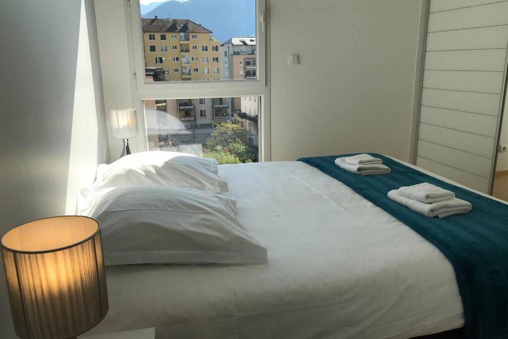 Le Cezanne - Centre Ville, Balcon, Garage Annecy Luaran gambar